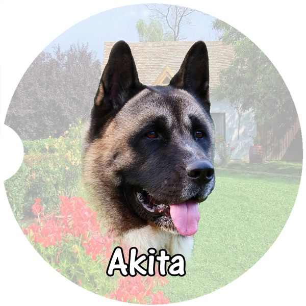 Akita Car Coasters