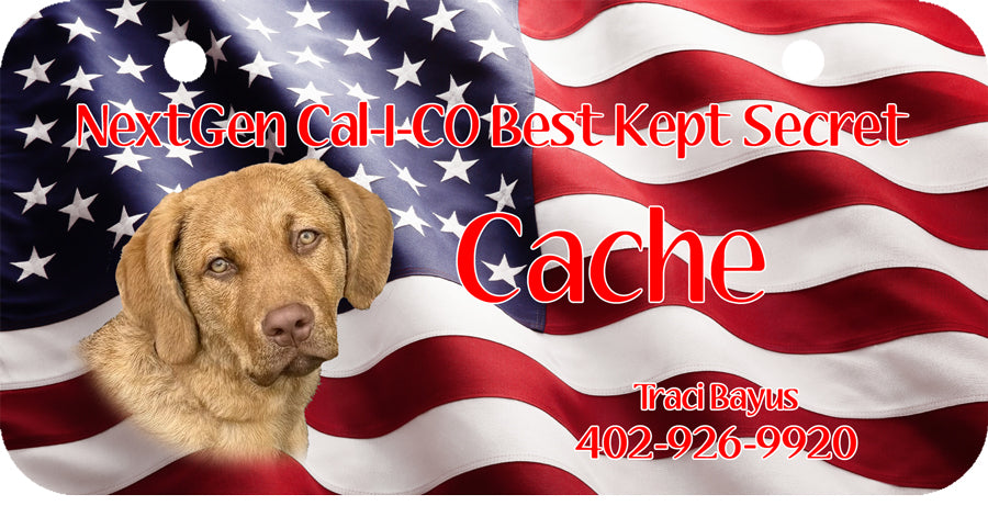 Personalized Dog Crate ID Tag