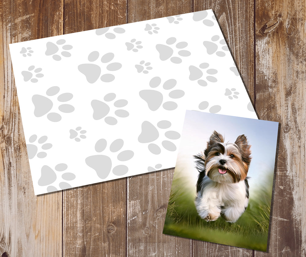 Biewer Terrier Greeting Cards