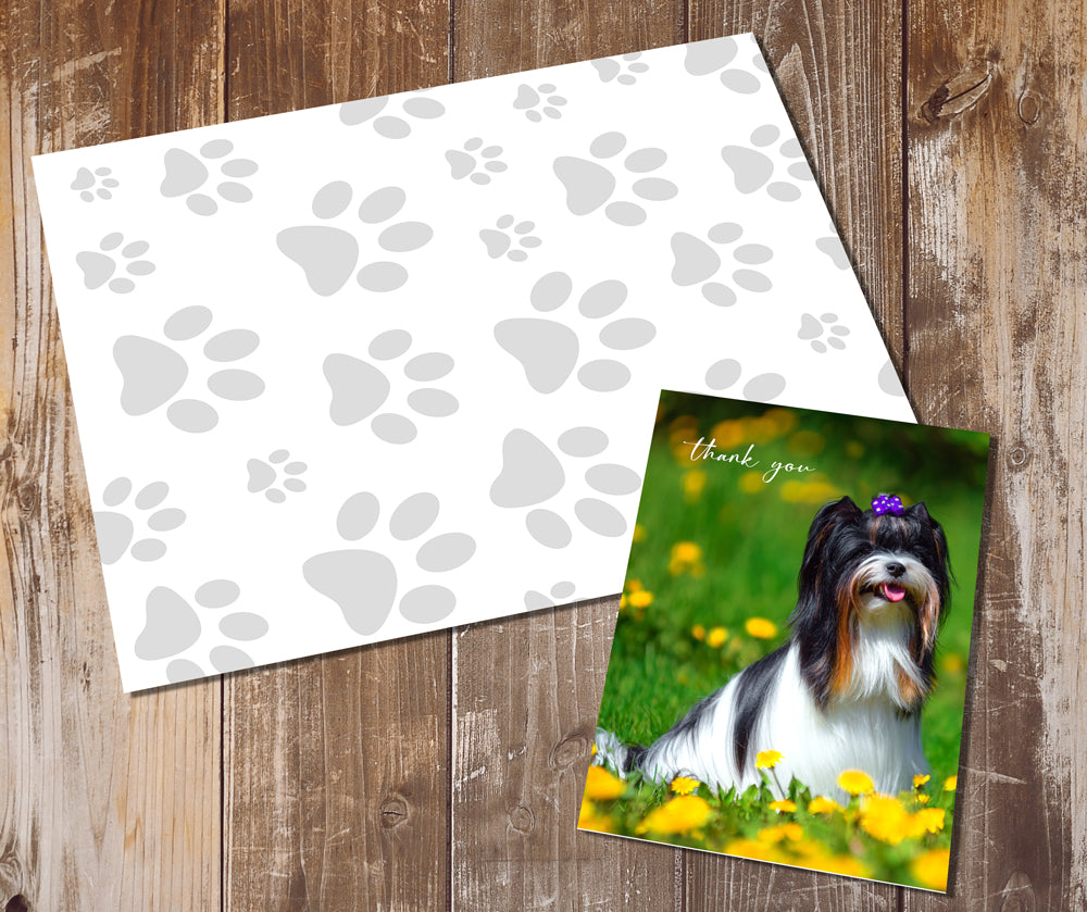 Biewer Terrier Greeting Cards