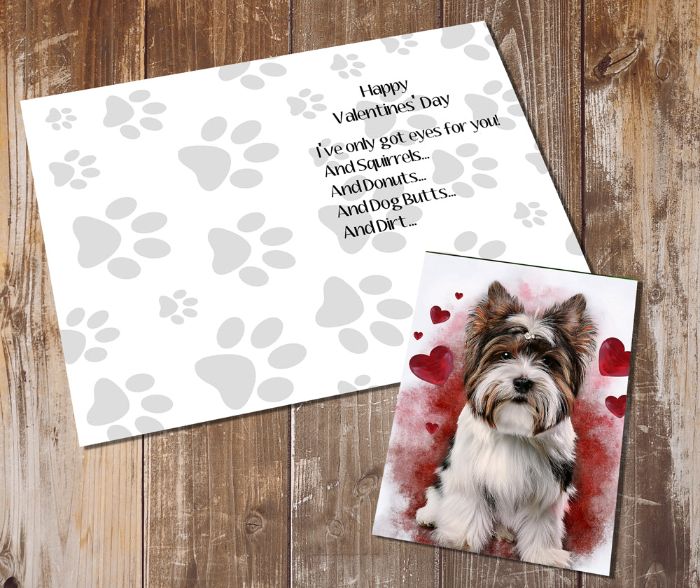 Biewer Terrier Greeting Cards