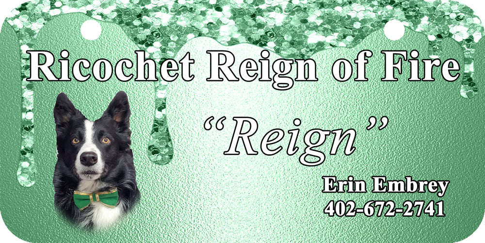 Personalized Dog Crate ID Tag