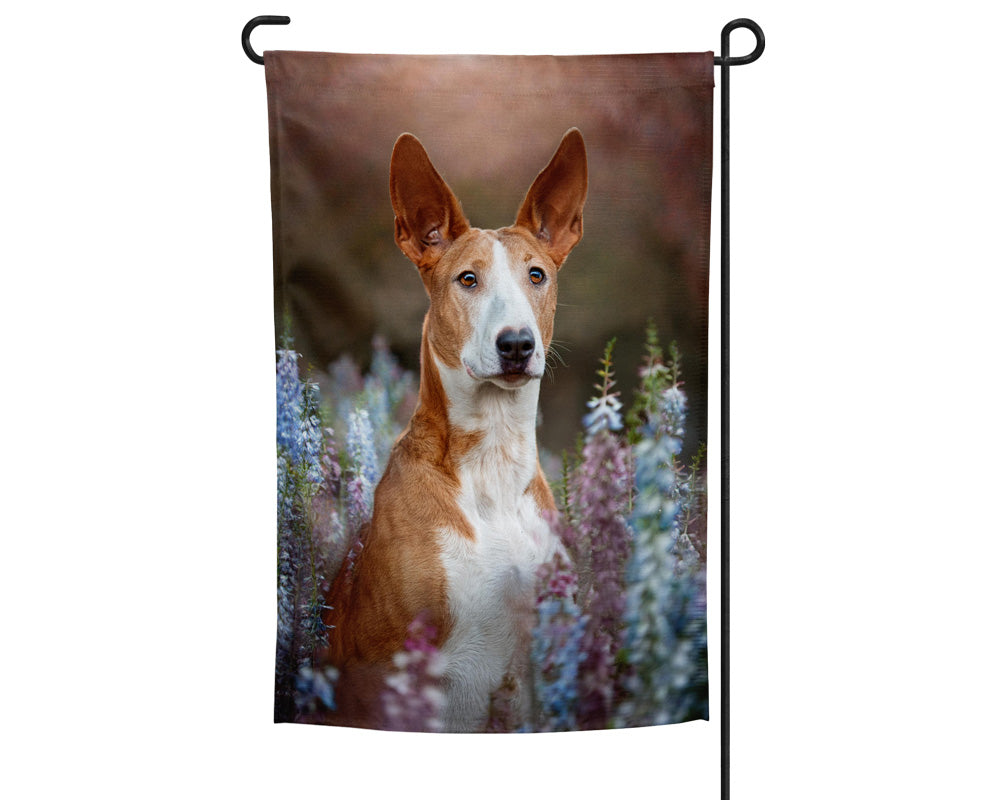Ibizan Hound Garden Flag