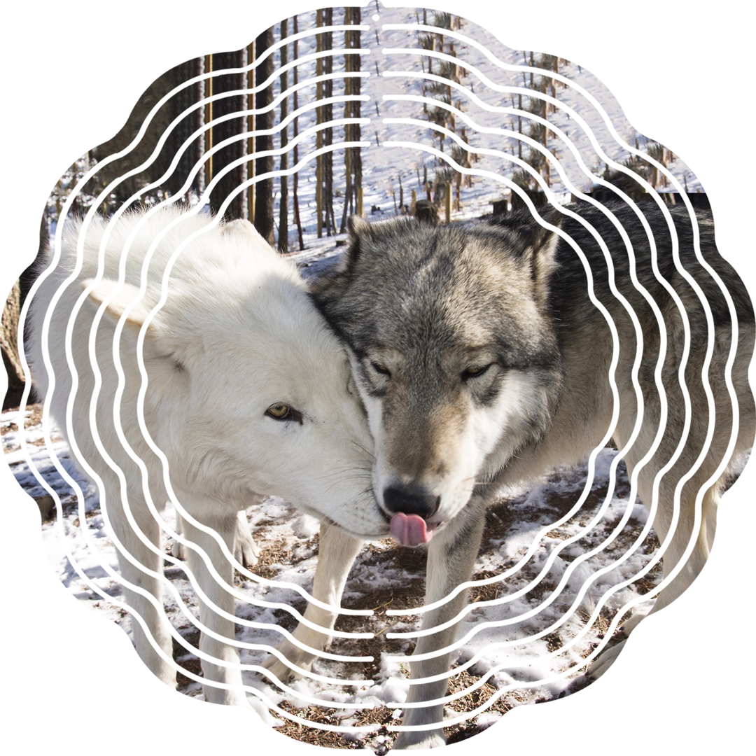 CWWC-Isha & Orenda Windspinner