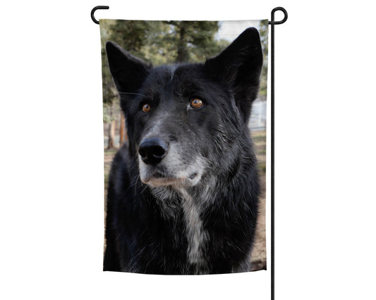 CWWC-Katniss Garden Flag