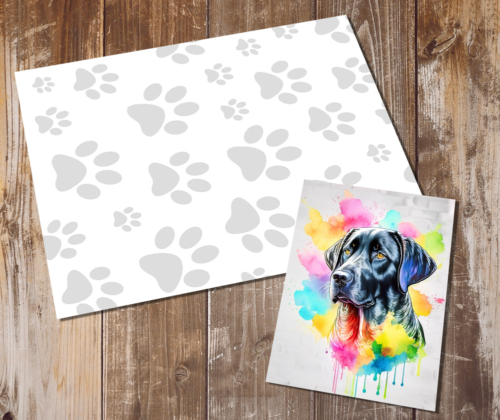 Labrador Greeting Cards