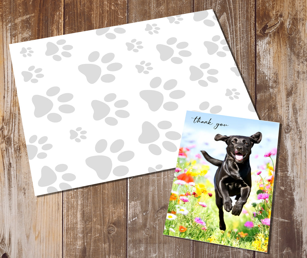 Labrador Greeting Cards