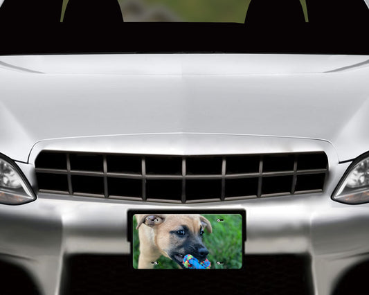 Custom Photo License Plate, Personalized Automotive Tag