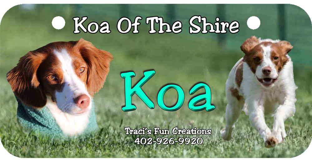 Personalized Dog Crate ID Tag