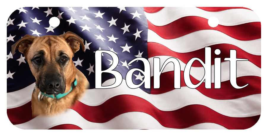 Personalized Dog Crate ID Tag