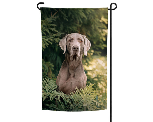 Weimaraner Garden Flag