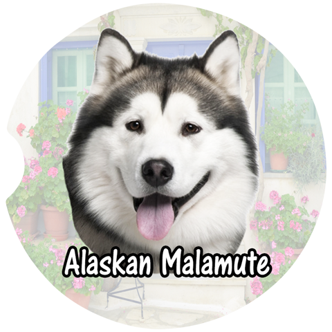 Alaskan Malamute Car Coasters