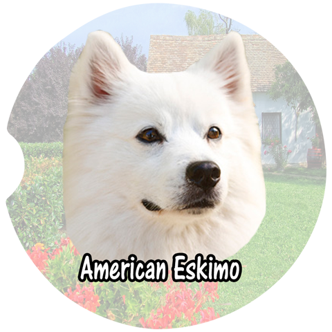 American Eskimo Car Coasters