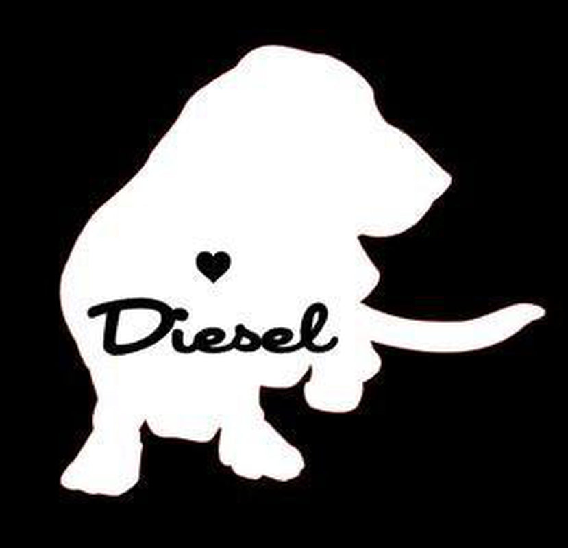 Basset Hound Vinyl Decal Sticker