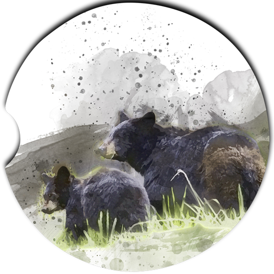 Bear Family Car Coasters