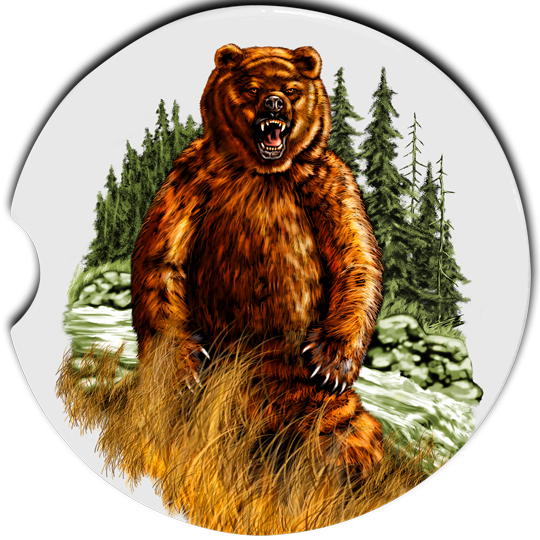 Bear Car Coasters