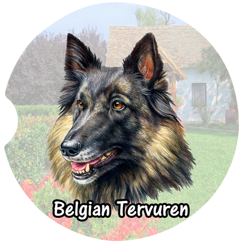 Belgian Tervuren Car Coasters