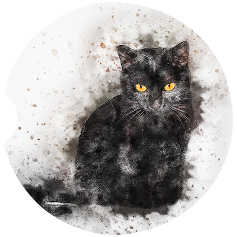 Black Cat Car Coasters