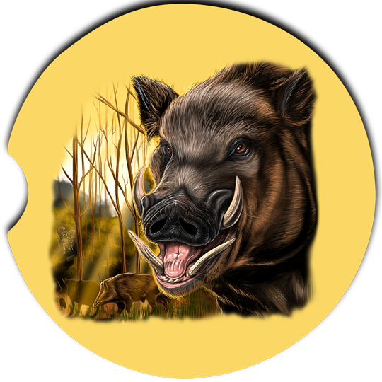 Wild Boar Car Coasters
