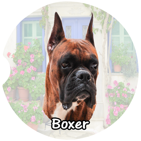 Boxer Car Coasters – Cropped Ears