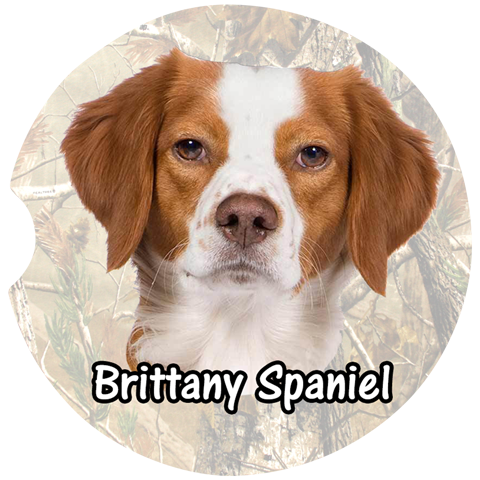 Brittany Spaniel Car Coasters – Camo