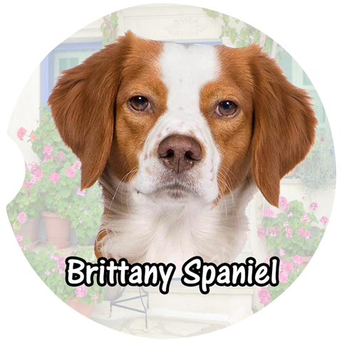 Brittany Spaniel Car Coasters