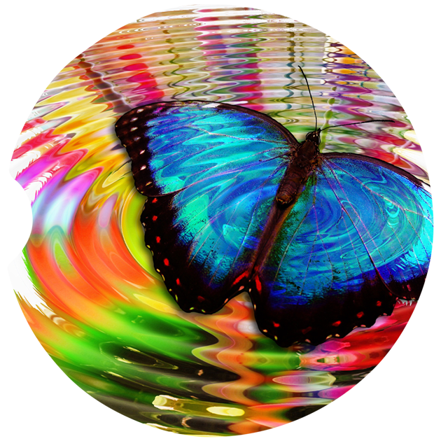 Butterflies Car Coasters β Ripple