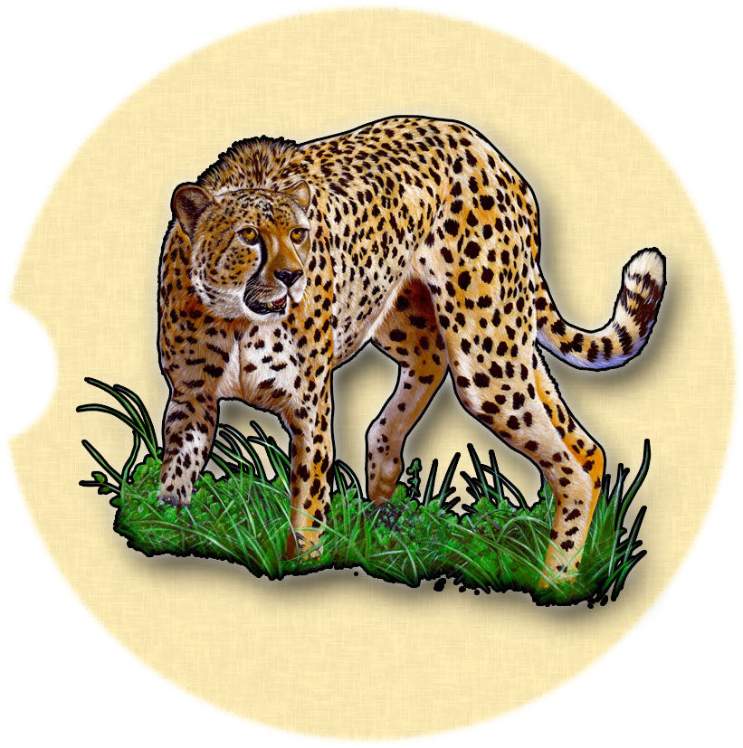 Cheetah Car Coasters