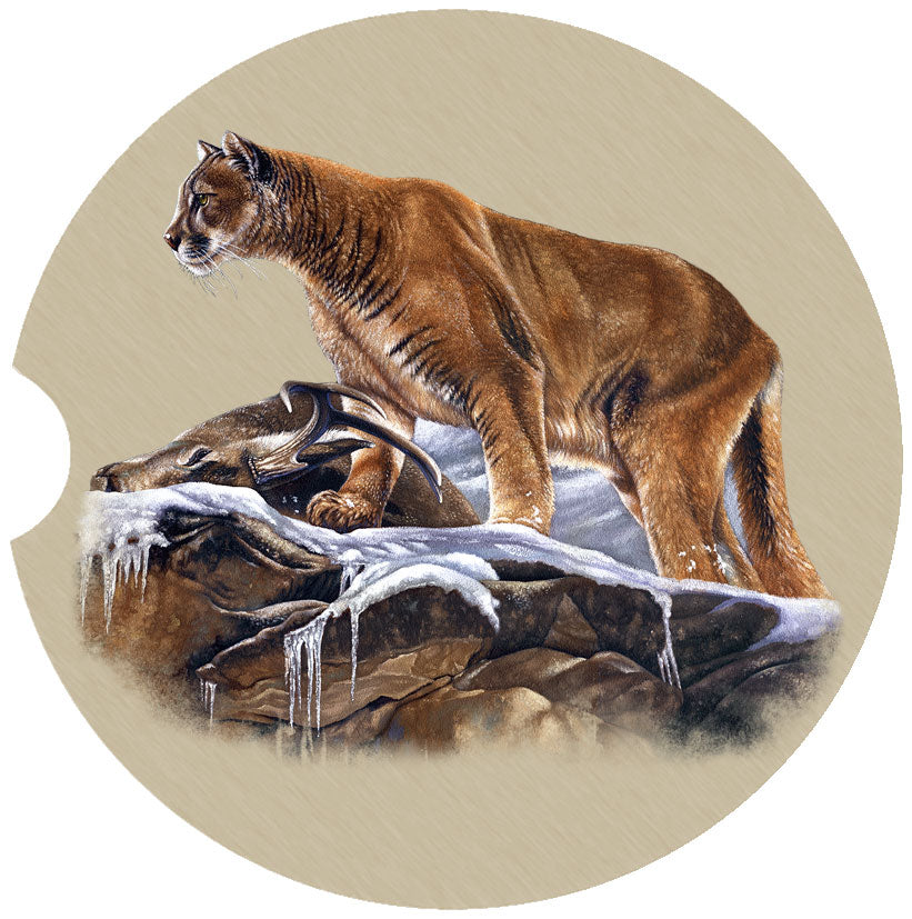 Cougar or Mountain lion Car Coasters