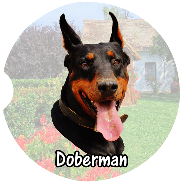 Doberman Car Coasters