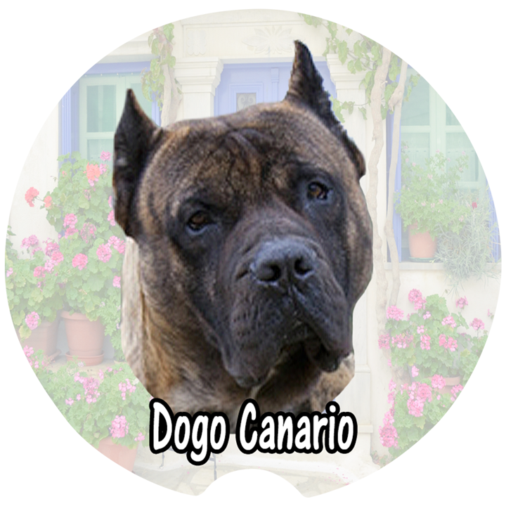Dogo Canario Car Coasters