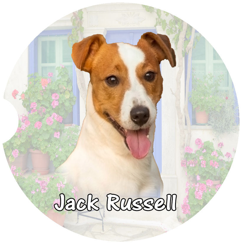 Jack Russell Car Coasters