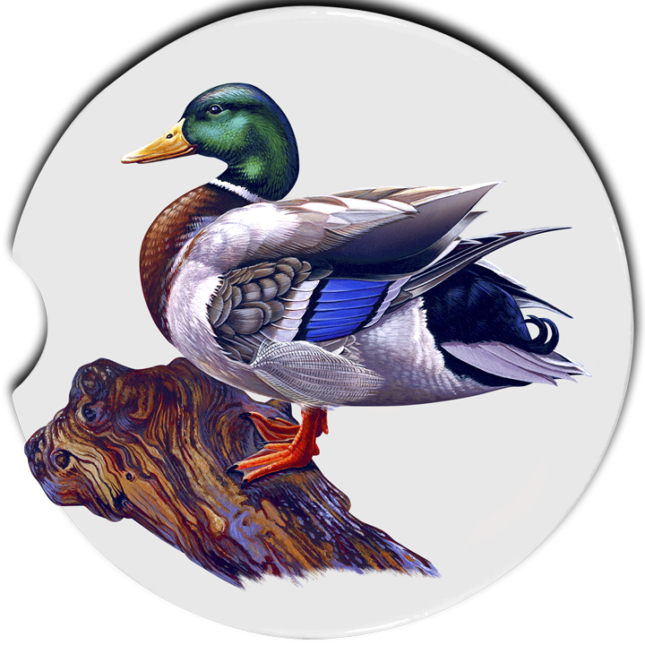 Mallard Duck Car Coasters