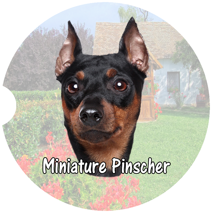 Miniature Pinscher Car Coasters