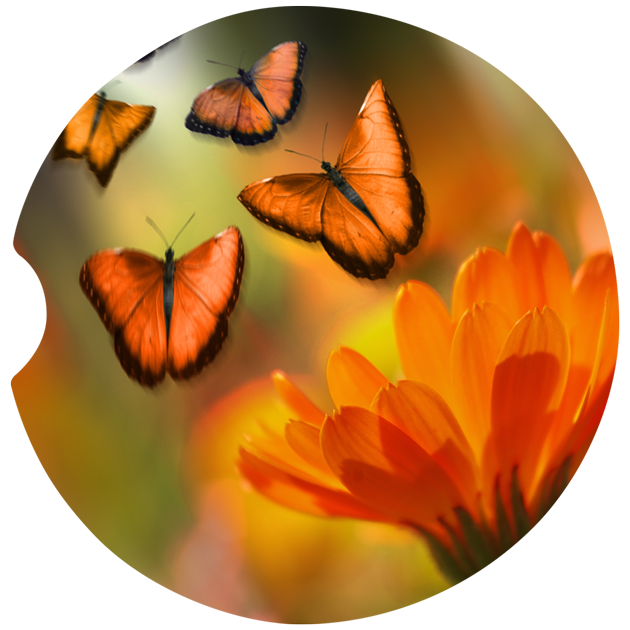 Butterflies Car Coasters – Orange
