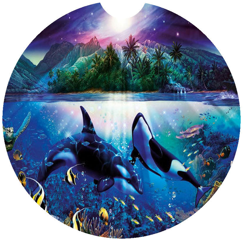 Orca Car Coasters