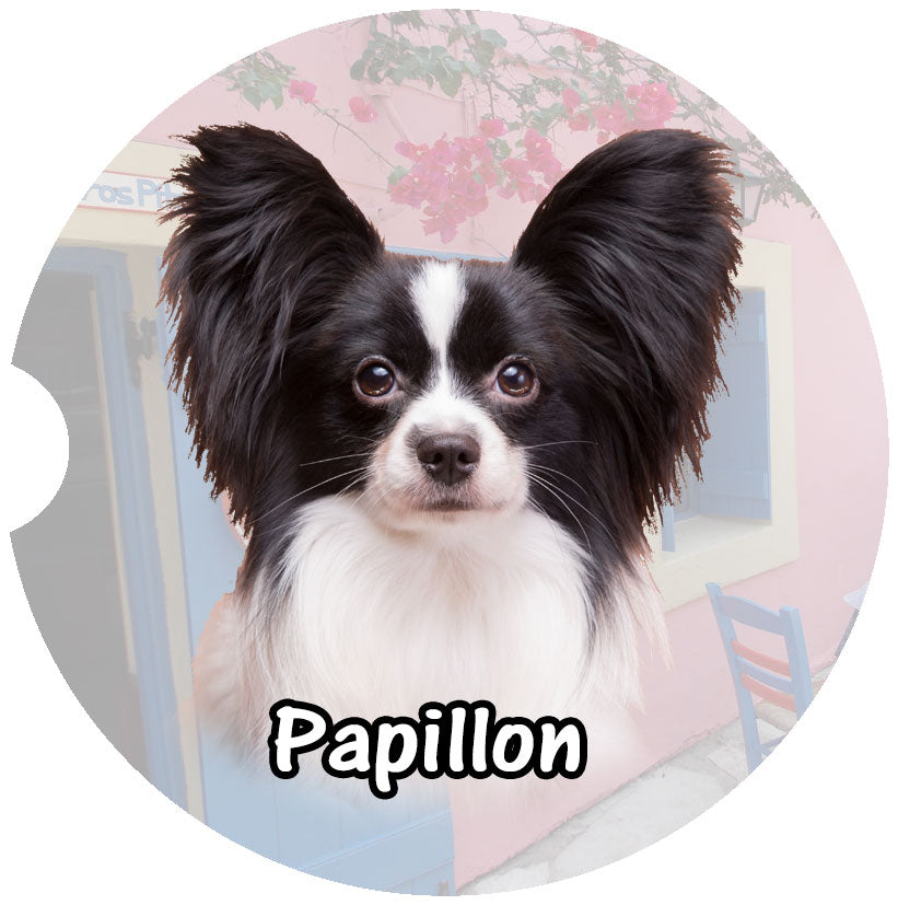 Papillon Car Coasters