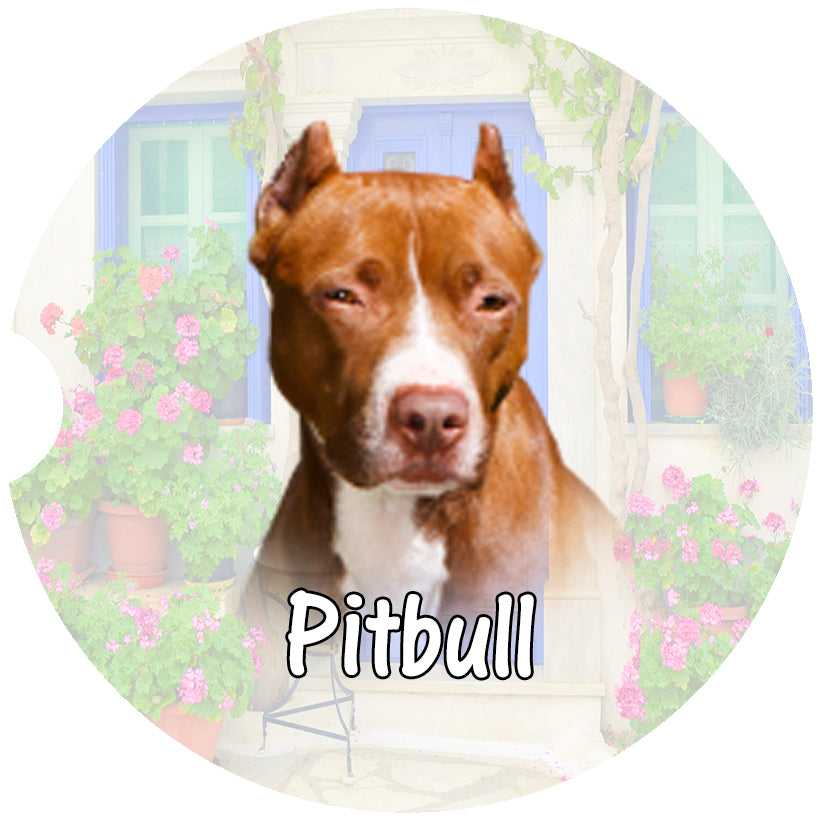 Pitbull Car Coasters