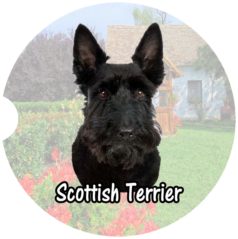 Scottish Terrier Car Coasters