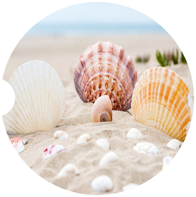 Seashell Car Coasters