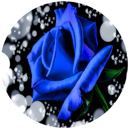 Blue Rose Car Coasters