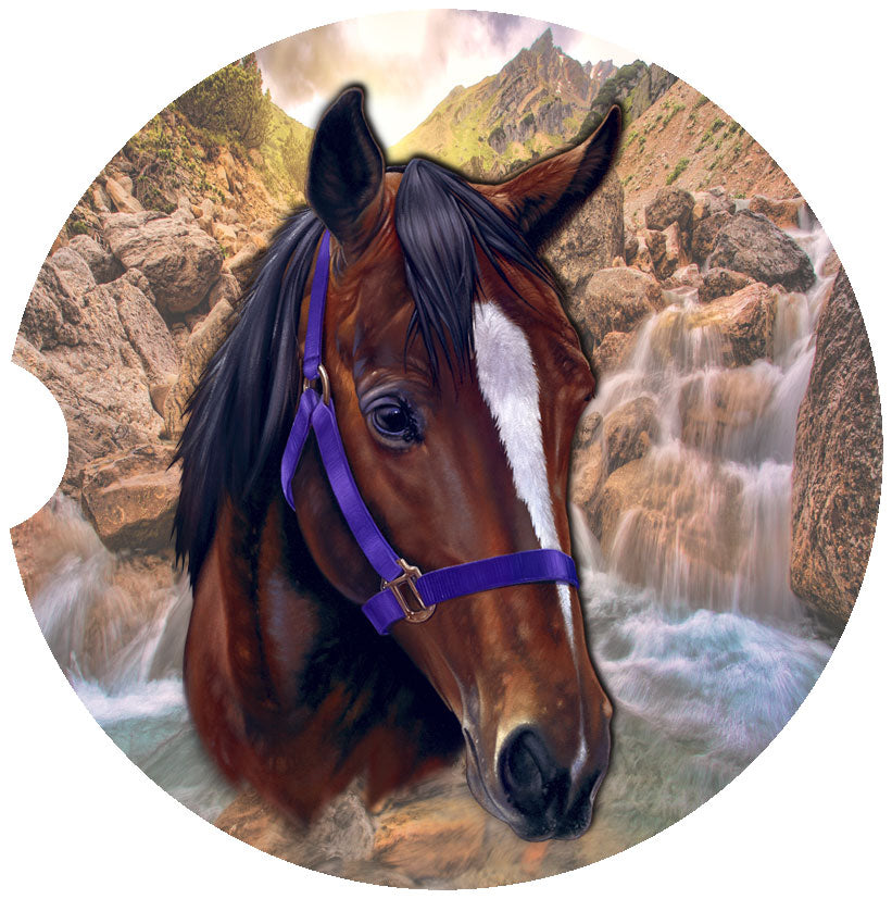 Horse Car Coasters – River