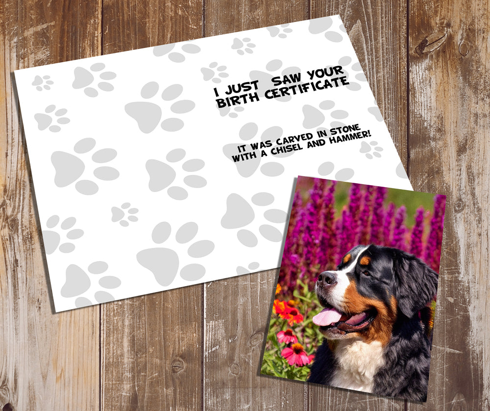 Greeting Cards