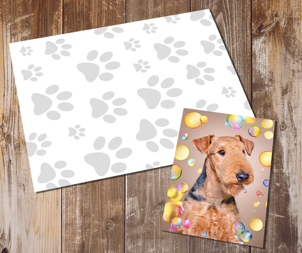 Airedale Terrier Greeting Cards