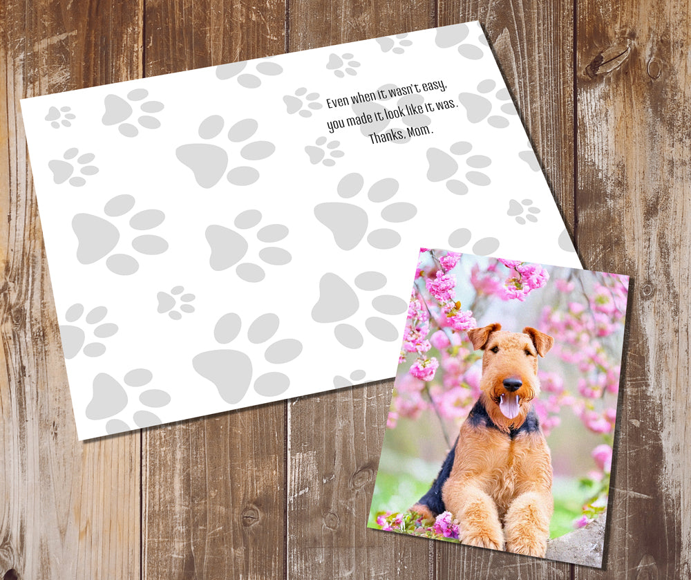 Airedale Terrier Greeting Cards