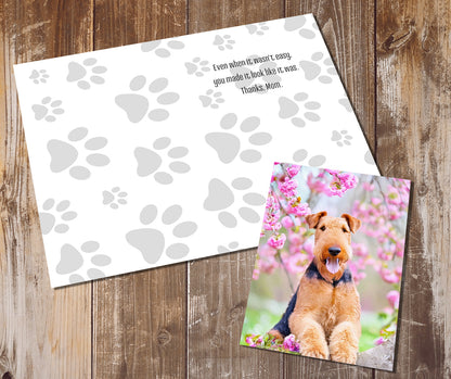 Airedale Terrier Greeting Cards