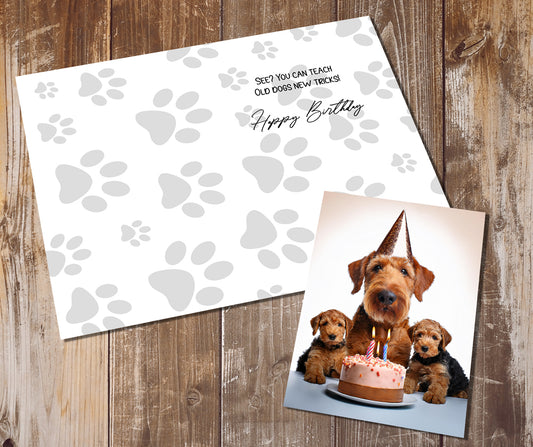 Airedale Terrier Greeting Cards