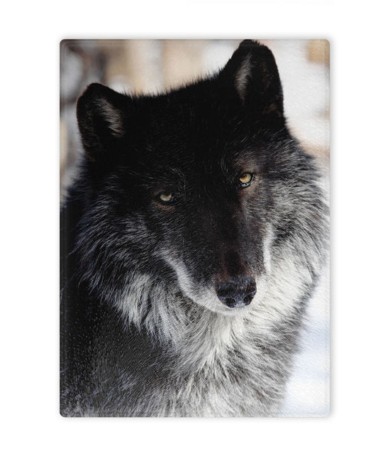 [Unique Home Decor, Ornaments, and Gifts Online]-Traci's Fun Creations