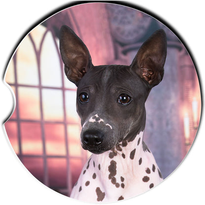 American Hairless Terrier Car Coaster