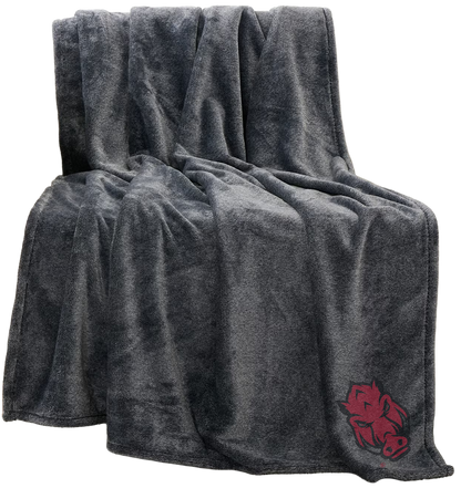 University of Arkansas Blanket Throw